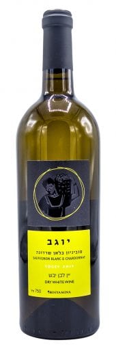 2017 Binyamina Sauvignon Blanc Chardonnay Yogev 750ml